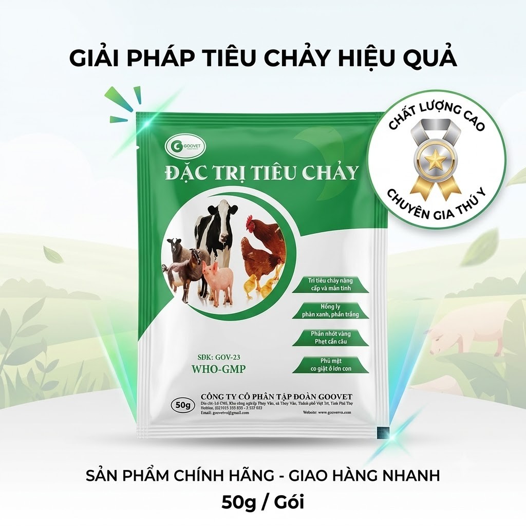 Đặc trị tiêu chảy 50g