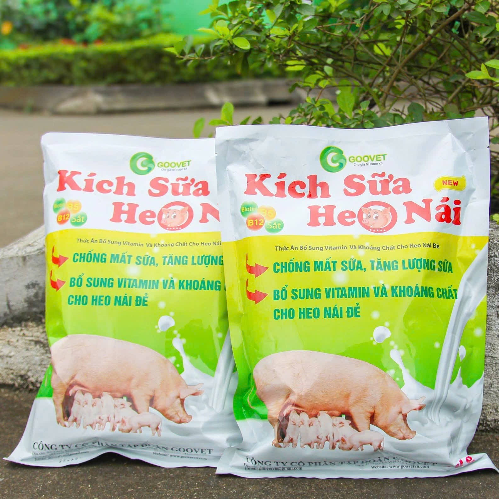 Thức ăn bổ sung (Kích sữa heo nái NEW 1kg )